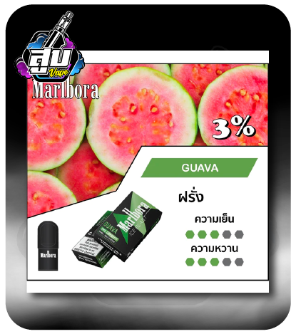 INFY Marlbora Guava